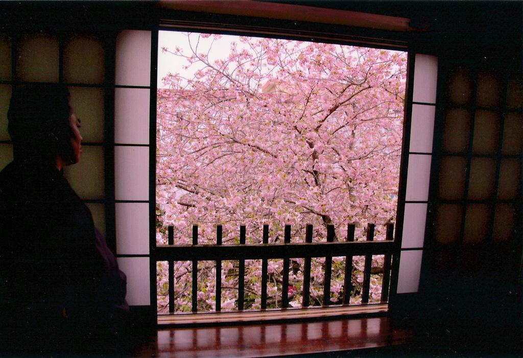 ทะบิโนะยะโดะ ซะตุกิ Hotel ฮิตะ ภายนอก รูปภาพ