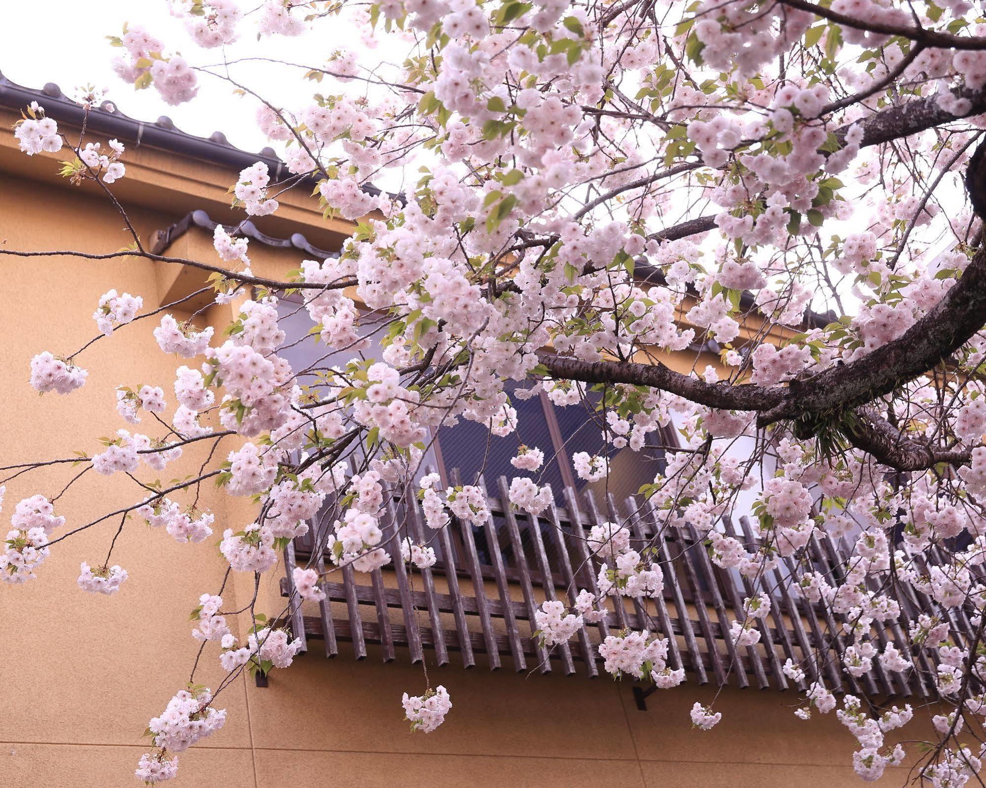 ทะบิโนะยะโดะ ซะตุกิ Hotel ฮิตะ ภายนอก รูปภาพ