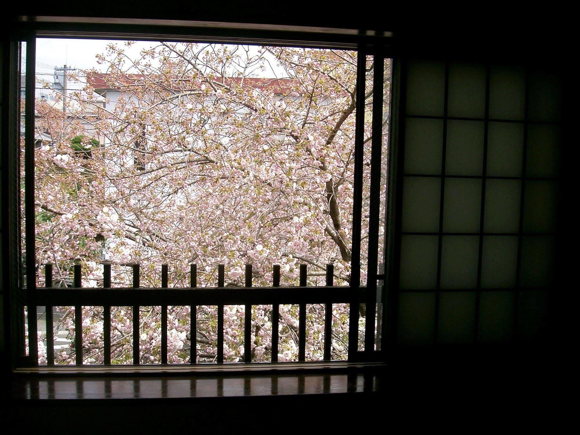 ทะบิโนะยะโดะ ซะตุกิ Hotel ฮิตะ ภายนอก รูปภาพ