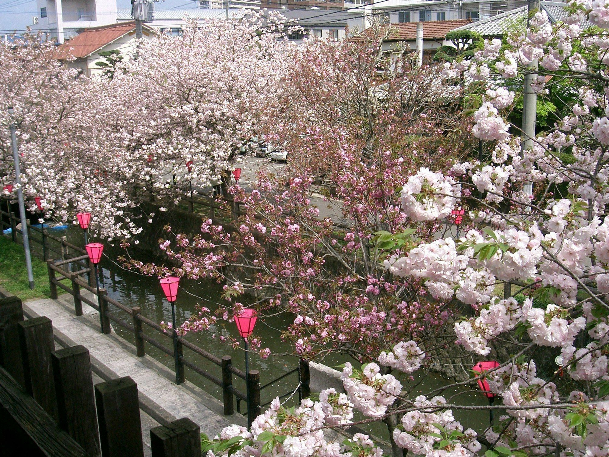 ทะบิโนะยะโดะ ซะตุกิ Hotel ฮิตะ ภายนอก รูปภาพ
